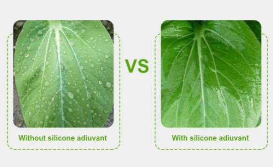 Agent pénétrant mouillant agricole d'épandeur de polysiloxane d'adjuvant chimique d'organosilicone